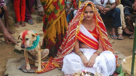 dog sex in india|Gorgeous Indian woman embarks bestiality sex with pretty dog.